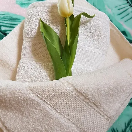 Apartment Karpacz * 卡尔帕奇